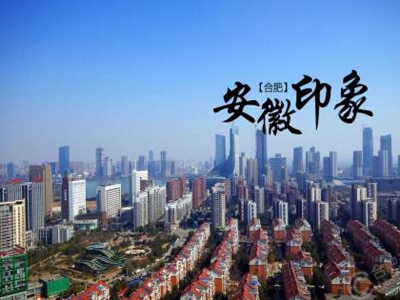 安徽醫(yī)院健康碼安康碼人臉測(cè)溫閘機(jī) 哪家好？?jī)r(jià)格怎么樣？代理招商，生產(chǎn)廠家，價(jià)格，哪家好，多少錢，品牌，報(bào)價(jià)，廠家，哪個(gè)公司好